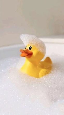 Rubber Duck Bath